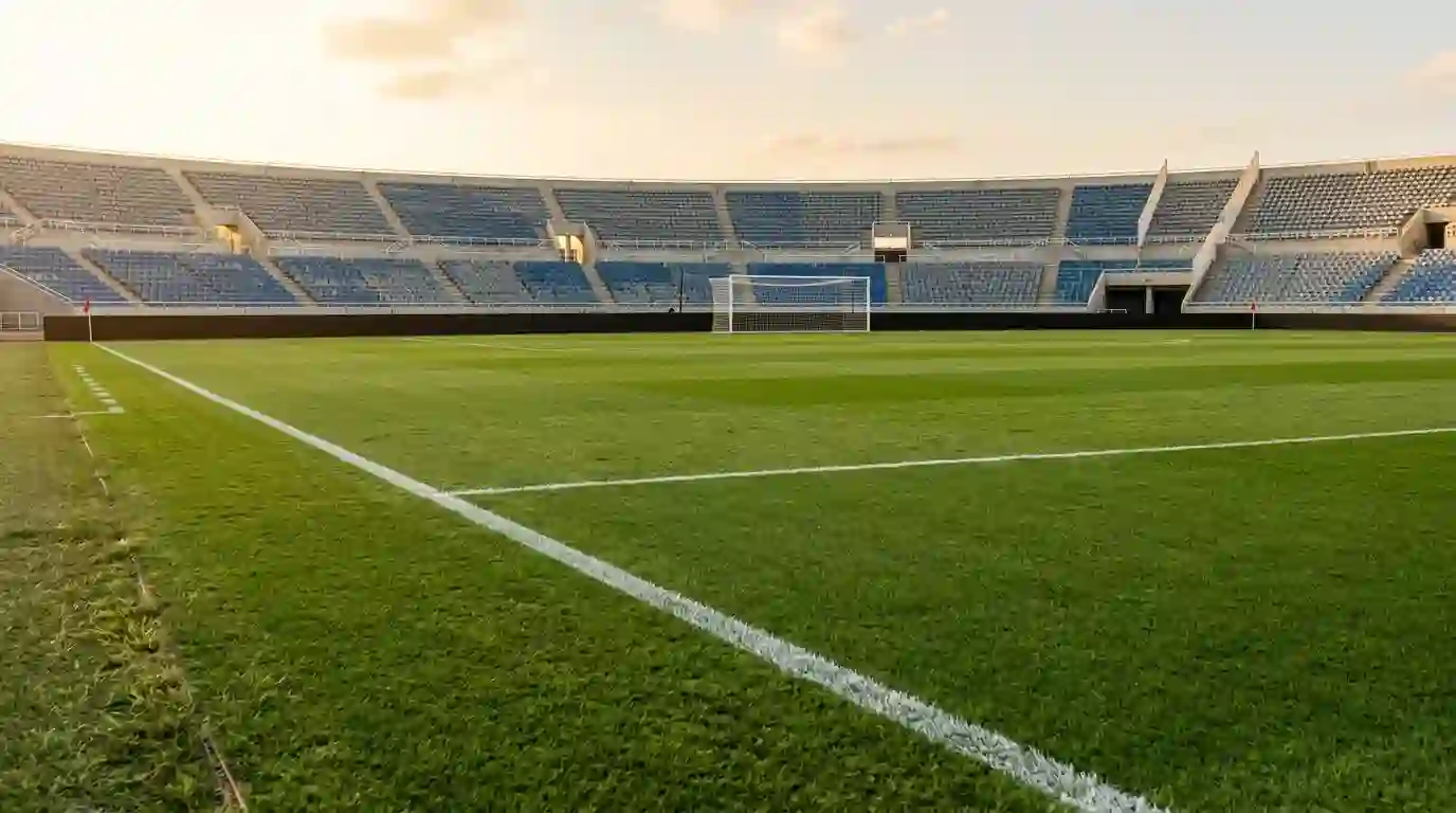 Campo de futbol con lineas de marcacion blancas visto desde la banda